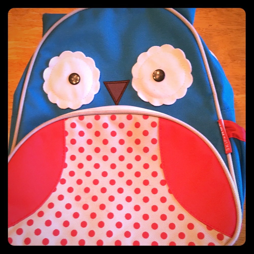 Skip hop little kids backpack.